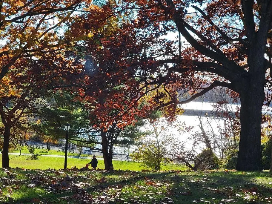 1St Floor Private Apt Near Ferry To Nyc And Park Apartment New York 0*,  United States